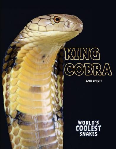 King Cobra