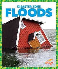 Cover image for Floods