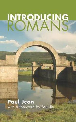 Cover image for Introducing Romans