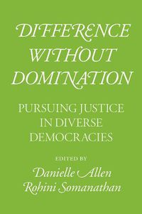 Cover image for Difference Without Domination: Pursuing Justice in Diverse Democracies