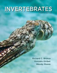 Cover image for Invertebrates