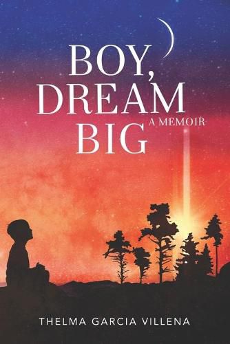 Cover image for Boy, Dream Big