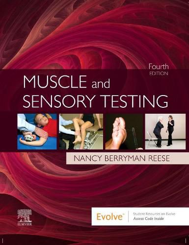 Cover image for Muscle and Sensory Testing