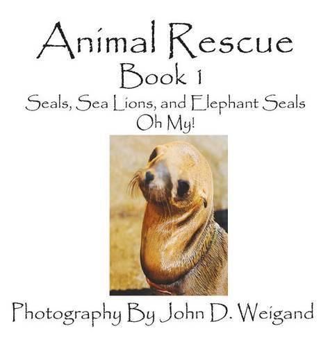 Cover image for Animal Rescue, Book 1, Seals, Sea Lions and Elephant Seals, Oh My!