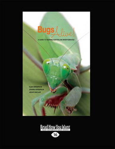 Cover image for Bugs Alive: A Guide to Keeping Australian Invertebrates