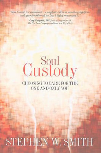 Cover image for Soul Custody