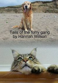 Cover image for Tails of the furry gang
