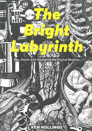 Cover image for Bright Labyrinth