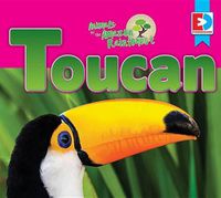 Cover image for Animals of the Amazon Rainforest: Toucan