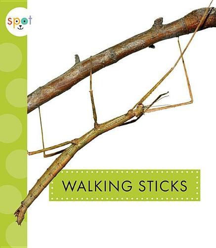 Cover image for Walking Sticks