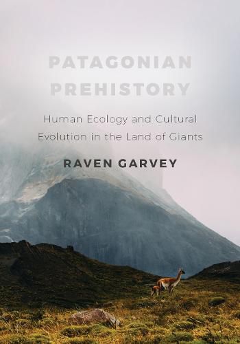 Cover image for Patagonian Prehistory: Human Ecology and Cultural Evolution in the Land of Giants