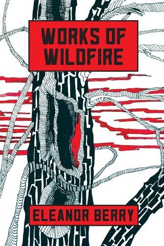 Cover image for Works of Wildfire: poems
