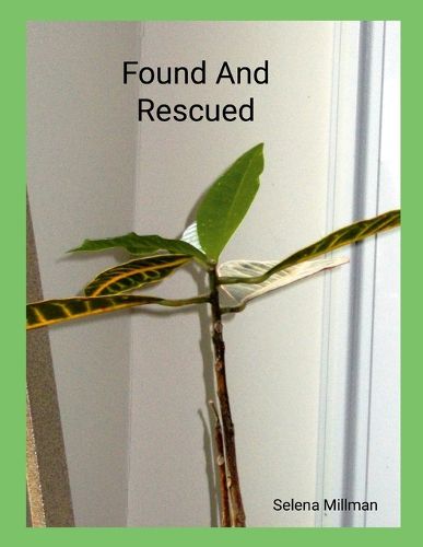 Cover image for Found And Rescued