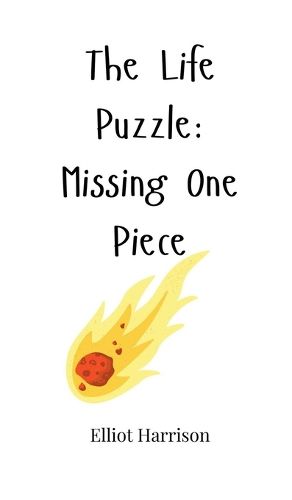 Cover image for The Life Puzzle