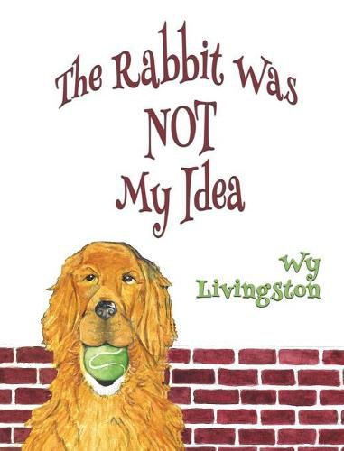 Cover image for The Rabbit Was Not My Idea