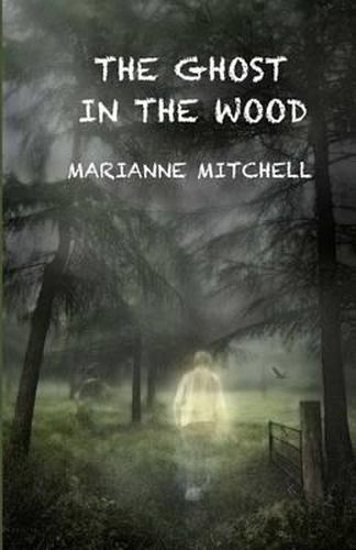Cover image for The Ghost in the Wood