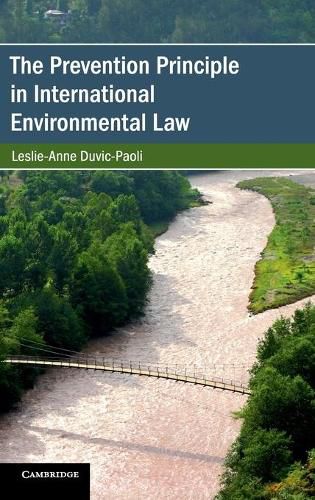 Cover image for The Prevention Principle in International Environmental Law