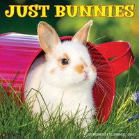 Cover image for Just Bunnies 2025 12 X 12 Wall Calendar