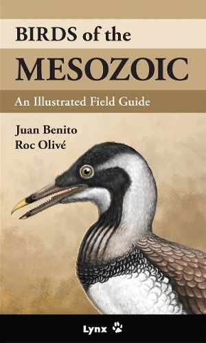 Cover image for Birds of the Mesozoic