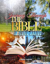 Cover image for Journey Through the Bible in Eleven Months