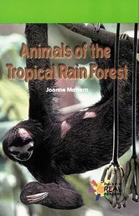 Cover image for Animals of the Tropical Rain Forest