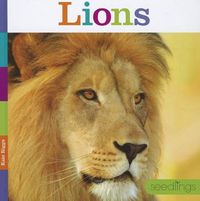 Cover image for Lions