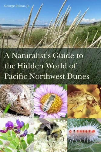 Cover image for A Naturalist's Guide to the Hidden World of Pacific Northwest Dunes