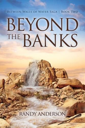Cover image for Beyond the Banks