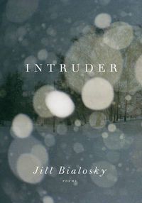 Cover image for Intruder