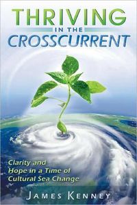 Cover image for Thriving in the Crosscurrent: Clarity and Hope in a Time of Cultural Sea Change