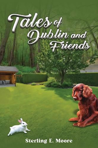 Cover image for Tales of Dublin and Friends