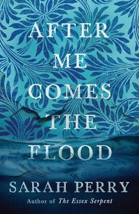 Cover image for After Me Comes the Flood: From the author of The Essex Serpent