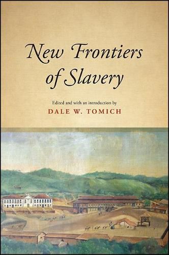 Cover image for New Frontiers of Slavery