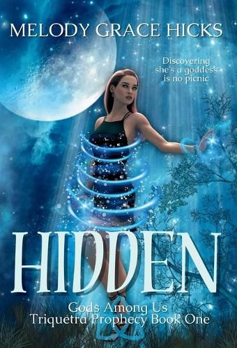 Cover image for Hidden