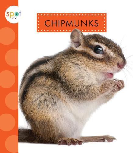 Cover image for Chipmunks