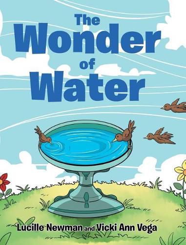 Cover image for The Wonder of Water