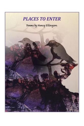 Cover image for Places to Enter