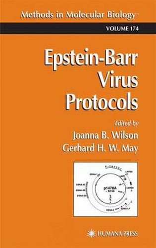 Cover image for Epstein-Barr Virus Protocols