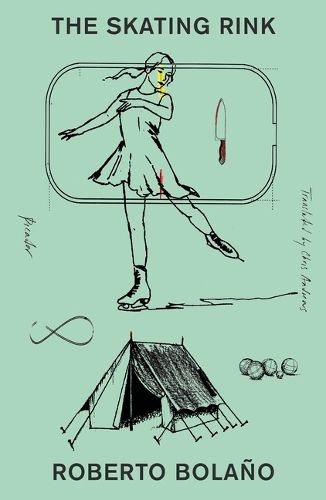Cover image for The Skating Rink
