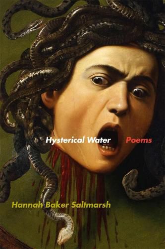 Cover image for Hysterical Water: Poems