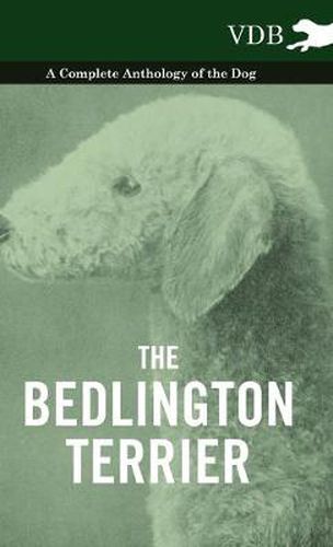 Cover image for The Bedlington Terrier - A Complete Anthology of the Dog -