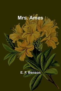 Cover image for Mrs. Ames