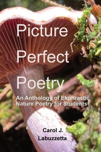 Cover image for Picture Perfect Poetry