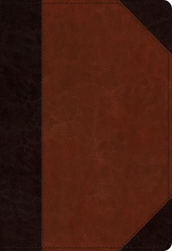 Cover image for ESV Student Study Bible
