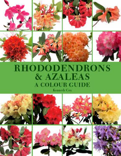 Cover image for Rhododendrons and Azaleas: A Colour Guide