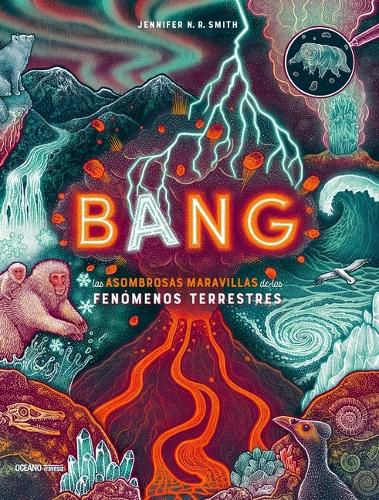 Cover image for Bang