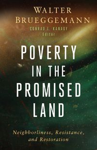 Cover image for Poverty in the Promised Land