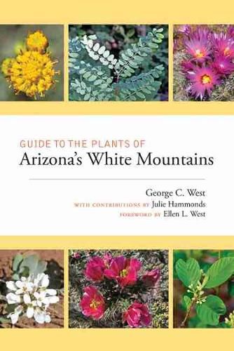 Cover image for Guide to the Plants of Arizona's White Mountains