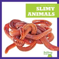 Cover image for Slimy Animals