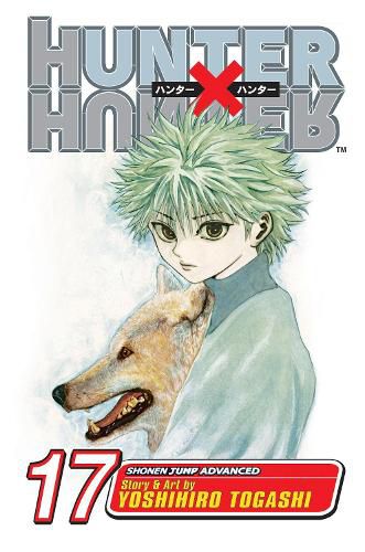 Cover image for Hunter x Hunter, Vol. 17